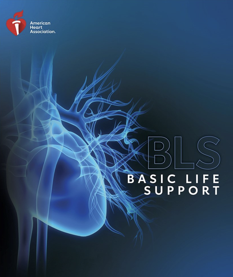 AHA BLS PROVIDER E BOOK